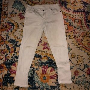 Loft relaxed skinny jean